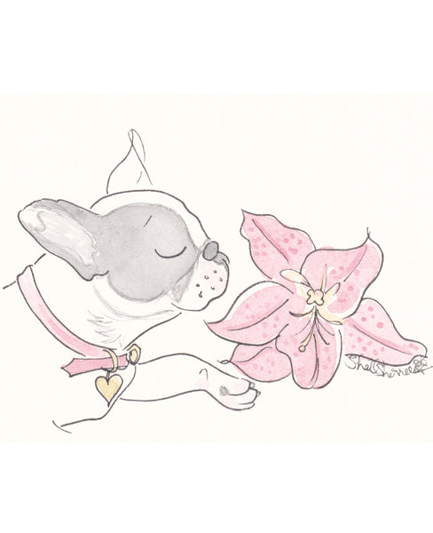 French Bulldog Olive and the Pink Lily wall art print by Shell Sherree