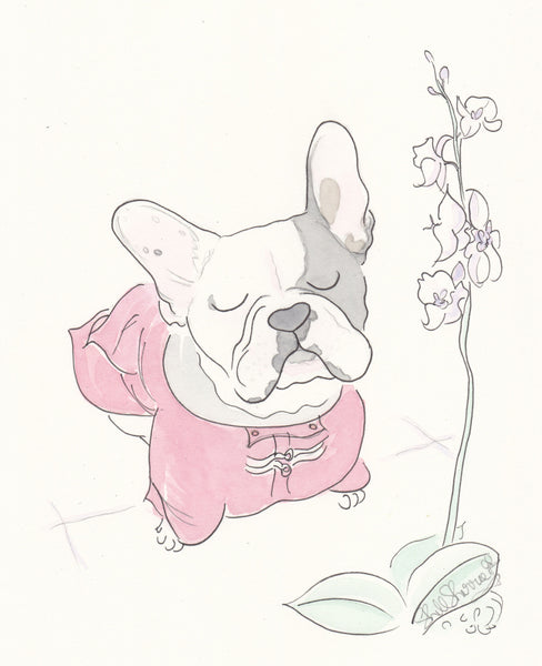 french bulldog wall art frenchie with orchid by shell sherree