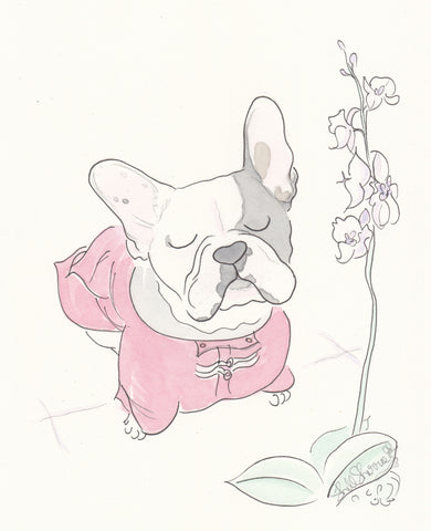 french bulldog wall art frenchie with orchid by shell sherree