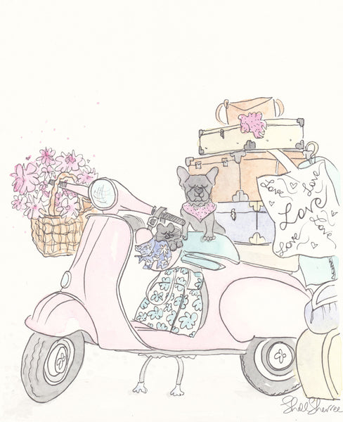 pink scooter french bulldog cat wall art shellsherree