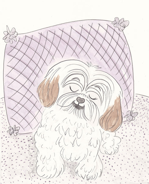 shih tzu lovely lilac art by shell sherree