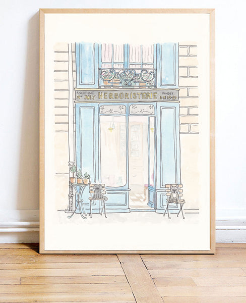 french wall art herboristerie shop illustration by shell sherree