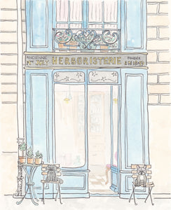french wall art herboristerie shop illustration by shell sherree